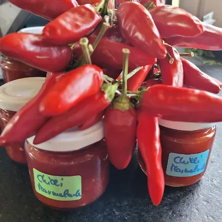 Apartmán Casa Mare * Monte * Mille Stelle *